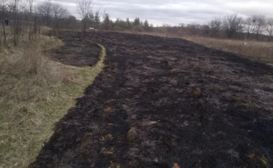Невідомі підпалили околиці ландшафтного заказника в Обухові