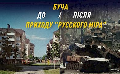 Трохи про бомжів, що не бачили асфальту