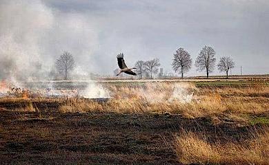 Обухівщина: самооборона пояснить "паліям трави" неприпустимість шкідництва