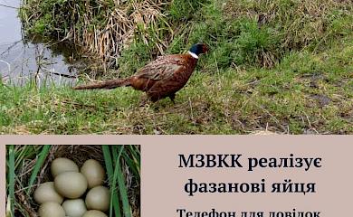 Обухівський район: з'явилася можливість придбати яйця фазанів
