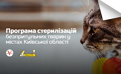 В Обухові і районі триває безкоштовна стерилізація тварин
