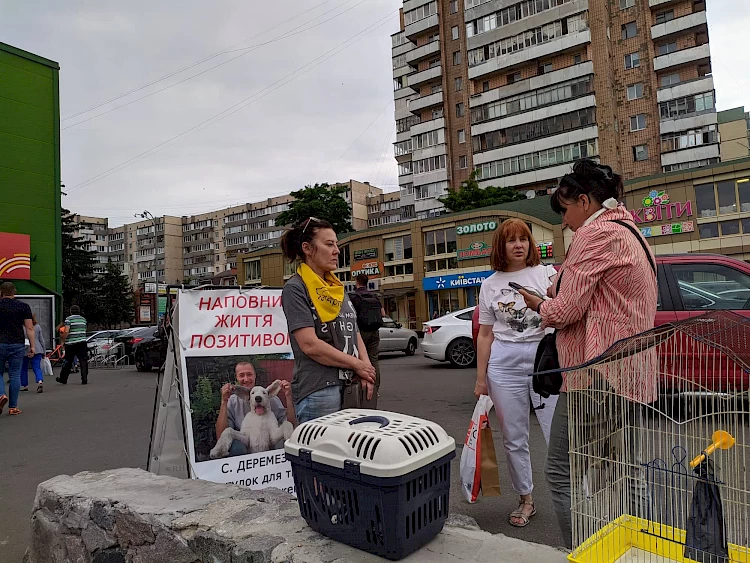 Візьми кота
