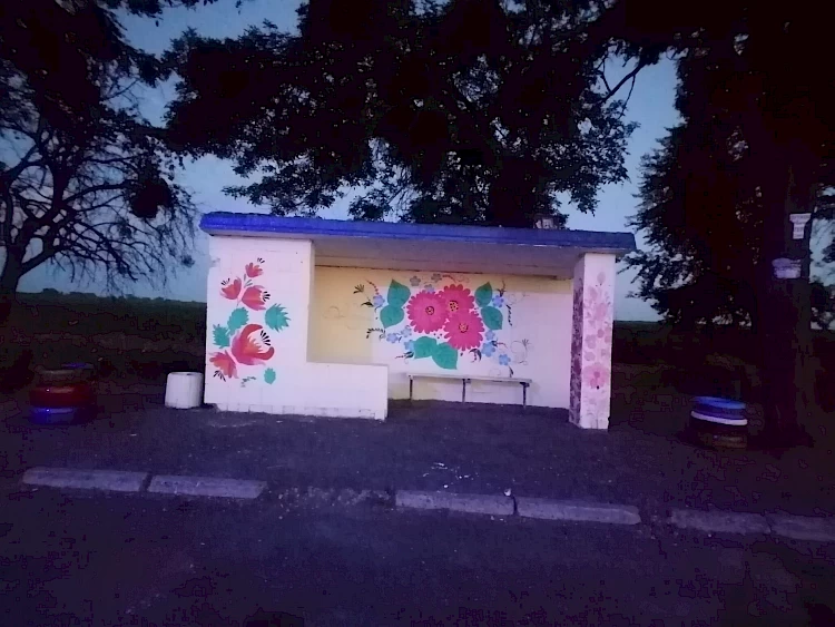 В селі на Обухівщині місцеві розмалювали зупинку