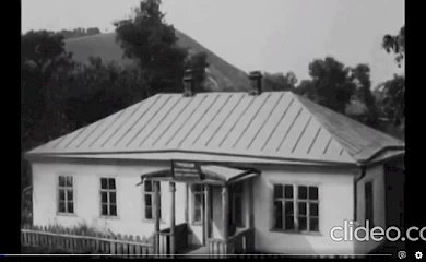 Тутові сади Трипілля і Обухова
