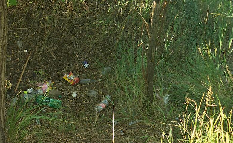 Живописне обухівське озеро потопає у смітті
