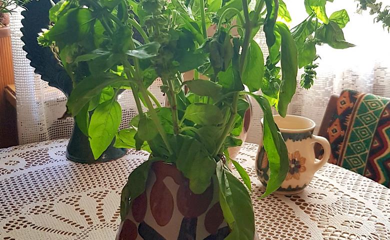 Купи васильківську майоліку - допоможи госпітальєрам