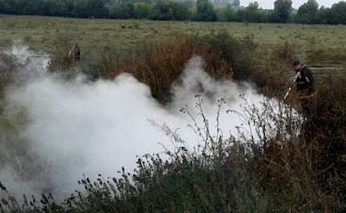 Біля Обухова горів торф