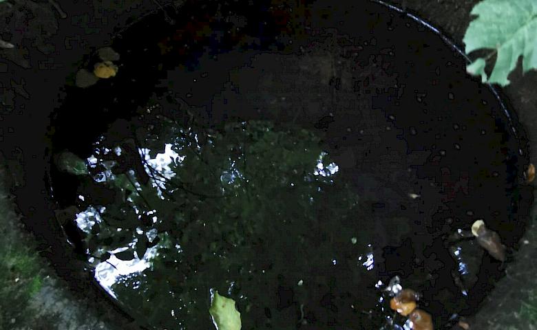 Цей маршрут підійде багатьом