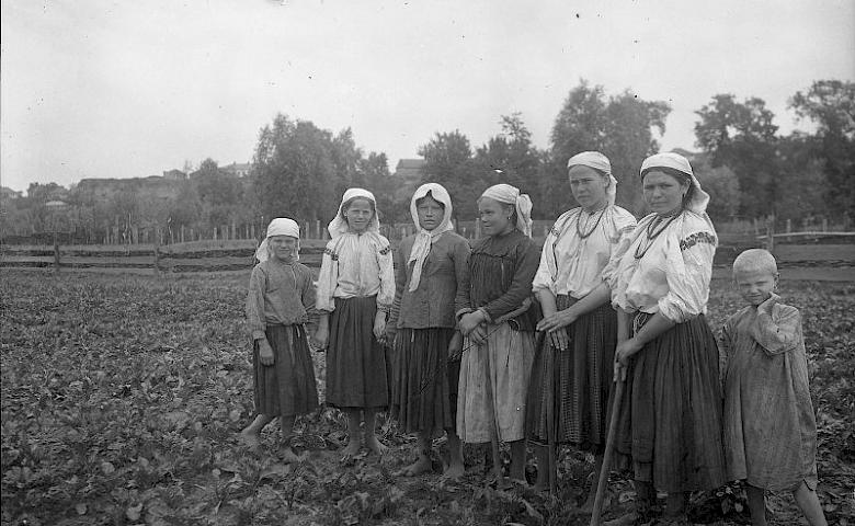 Трипілля 1911 року: садиба, одяг, шовківництво