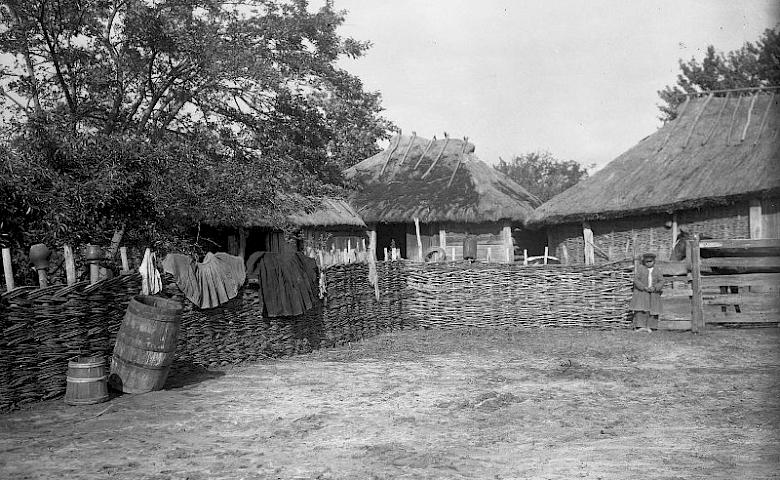 Трипілля 1911 року: садиба, одяг, шовківництво