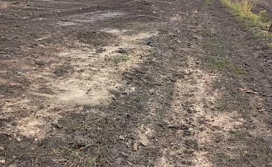 В селі Пії Ржищівської МТГ впорядкували місцеве сміттезвалище