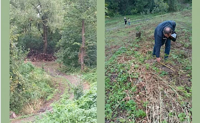 У Ржищеві екологічна комісія здійснила виїздне обстеження
