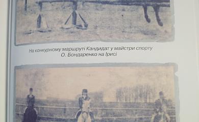 Коні не поні
