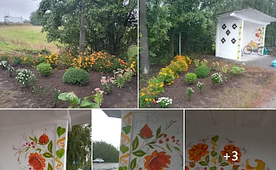 В селі на Обухівщині розмалювали зупинку