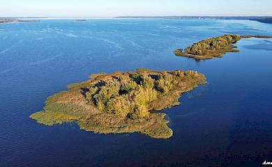 Фотограф задокументував "острівне царство" біля Балико-Щучинки