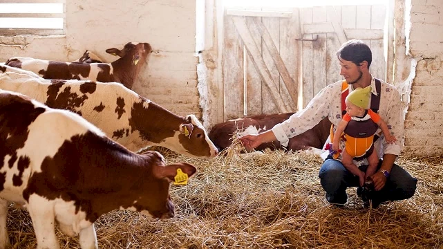 Сироварня з Обухівського району виступила на конкурсі у Великобританії