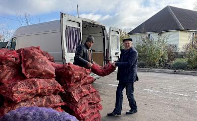 Аграрії Обухівщини підтримують район цьогорічним врожаєм овочів