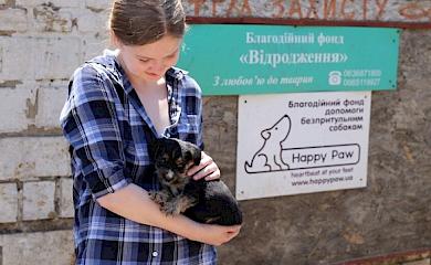 В Обухівській тергромаді завершили будівництво ветеринарного комплексу