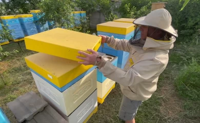Популярні системи вуликів