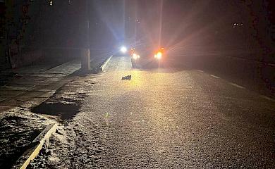 В Обухові автомобіль збив жінку: вона загинула