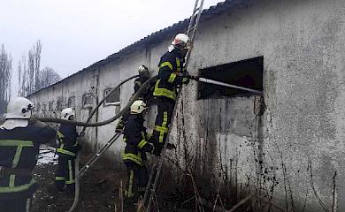 В Обухові горів старий "телятник"