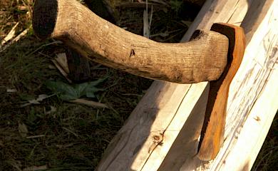 Вбив сокирою та обікрав - мешканця Київщини ув&rsquo;язнено