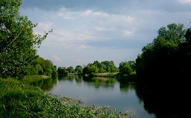 Зеленского просят спасти реку Рось