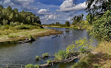 В Киевской области присвоили земли национального парка