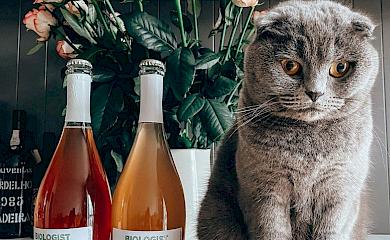 Крафтова виноробня на Обухівщині пропонує власне Petnat White Blend