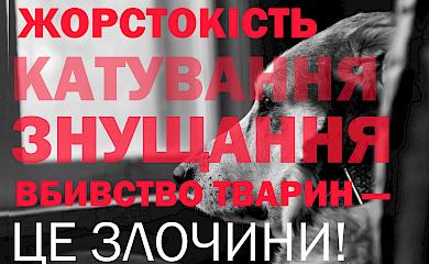 Зоозахисники подали заяву на поліцейського, який вистрелив у голову собаці