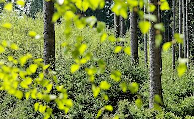 На Киевщине с предприятия взыщут почти 3,5 млн, из-за выбросов в атмосферу