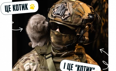 Притула і зоозахисники збирають на котиків і "котиків"