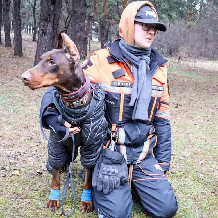 Волонтери розповіли про загін собак, які рятують людей з-під завалів