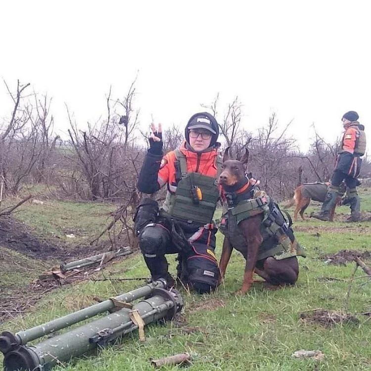 Волонтери розповіли про загін собак, які рятують людей з-під завалів