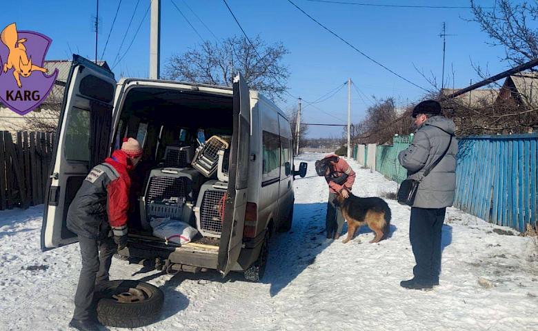 Зоозахисники розповіли про евакуацію тварин з Бахмута