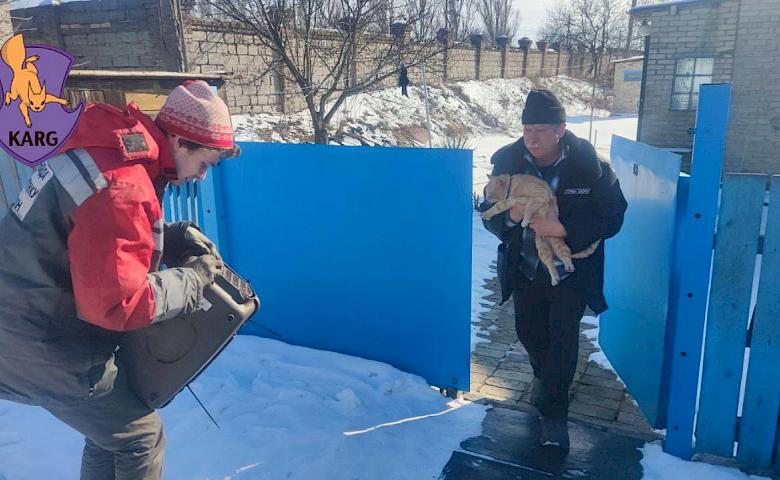 Зоозахисники розповіли про евакуацію тварин з Бахмута
