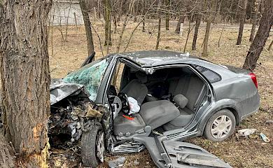 Вишгородський район: водій не впорався з кермуванням та злетів в кювет
