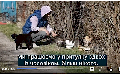 Волонтери разом з Притулою зібрали на притулок для тварин