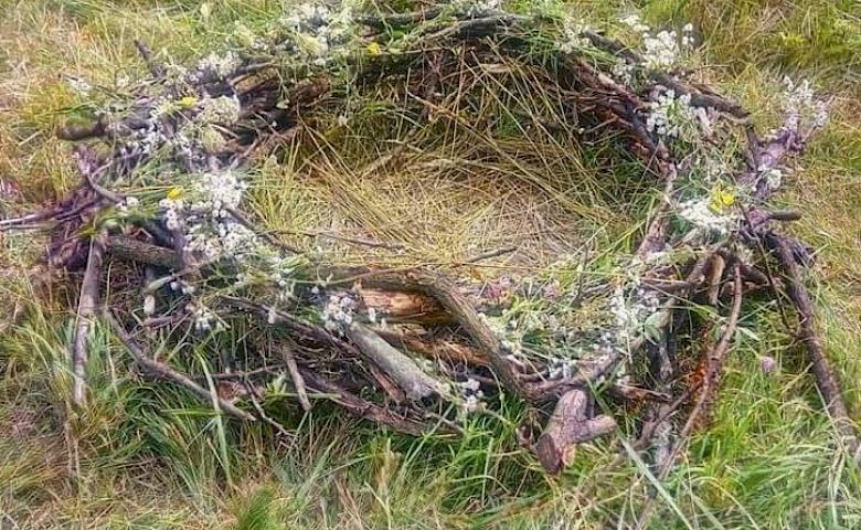 НАТАЛЯ ЛІНСЬКА: «Якщо немає натхнення -  нічого не вийде» (!)