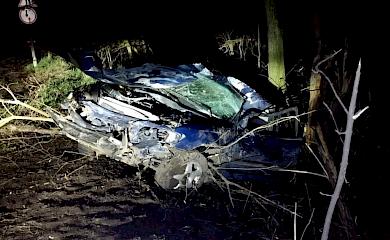 Вблизи Тайницы автомобиль влетел в кювет, пострадал пассажир