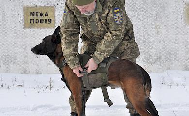 Кінолог легендарної бригади з Обухівщини розповів про роль собак на війні