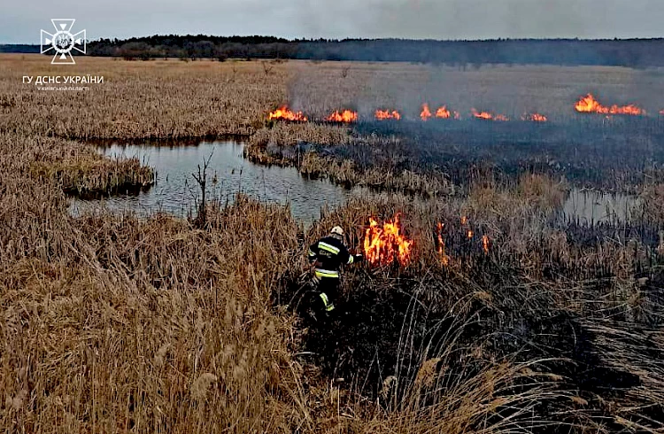 Попри дощі в Миронівській громаді рятувальники гасять масштабні пожежі