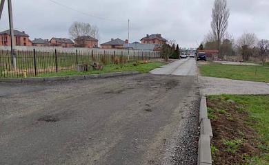 В Киевской области собаки напали на мать и ребенка