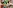 Фахівці з Пирогово розповіли про писанки дітям у Хотові