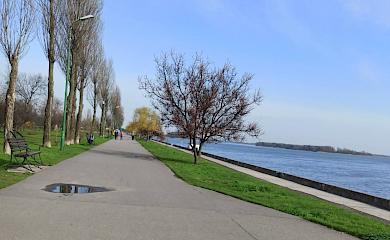 В Українській тергромаді оголосили про генеральне весняне прибирання