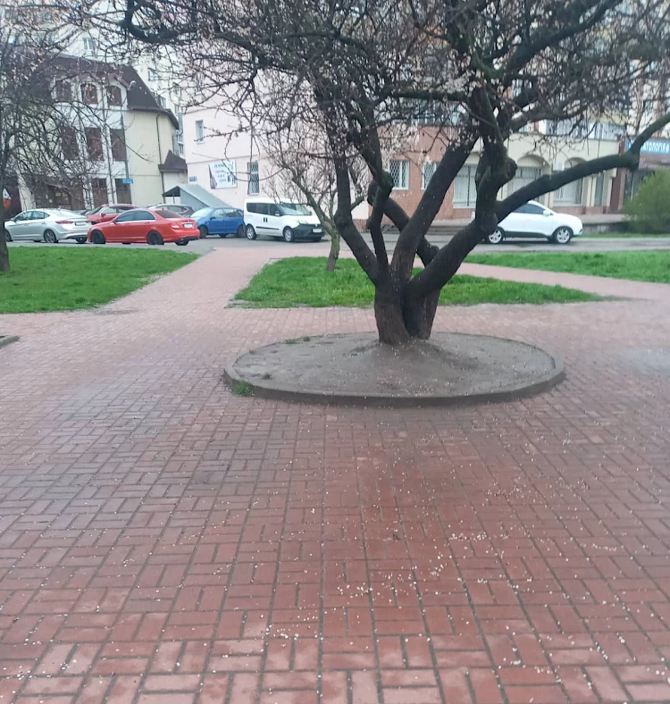 В Українській тергромаді оголосили про генеральне весняне прибирання