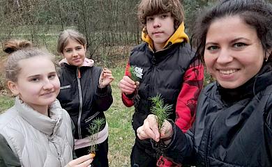 В Обухові вихованці гуртка учнівського самоврядування  садили сосни