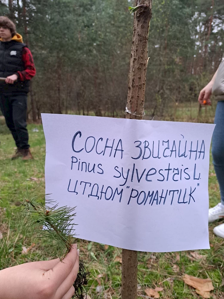 В Обухові вихованці гуртка учнівського самоврядування  садили сосни