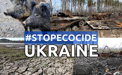 Тварини також стають біженцями та тікають від війни