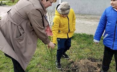 У Феодосіївській тергромаді висадили "дерева Перемоги"